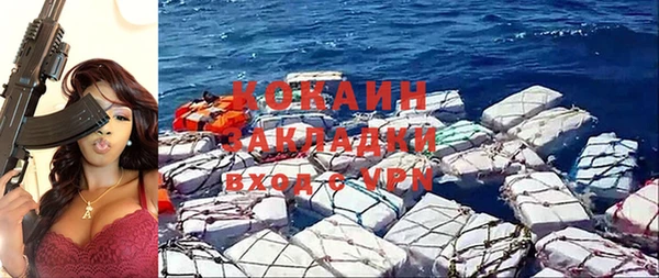 метадон Инта