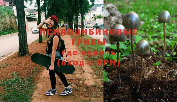 прущая мука Иннополис