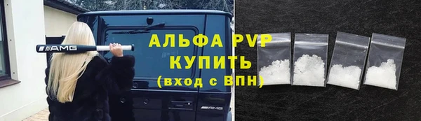 крисы Инсар