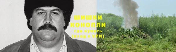 прущая мука Иннополис