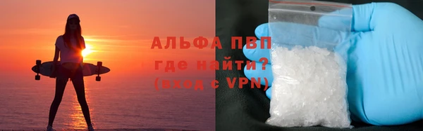 метадон Инта