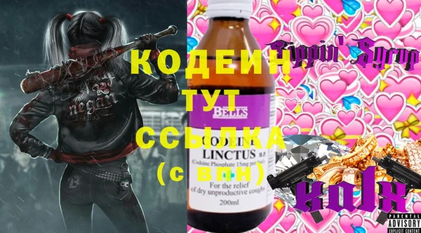 крисы Инсар