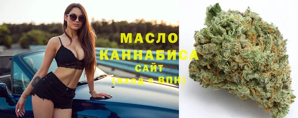 метадон Инта
