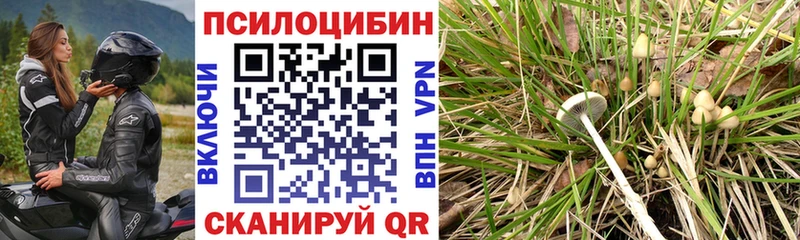 Псилоцибиновые грибы мухоморы  Купить закладки  Богданович 